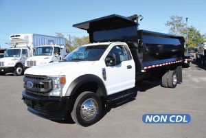 2020 FORD F450 XL 10012135299