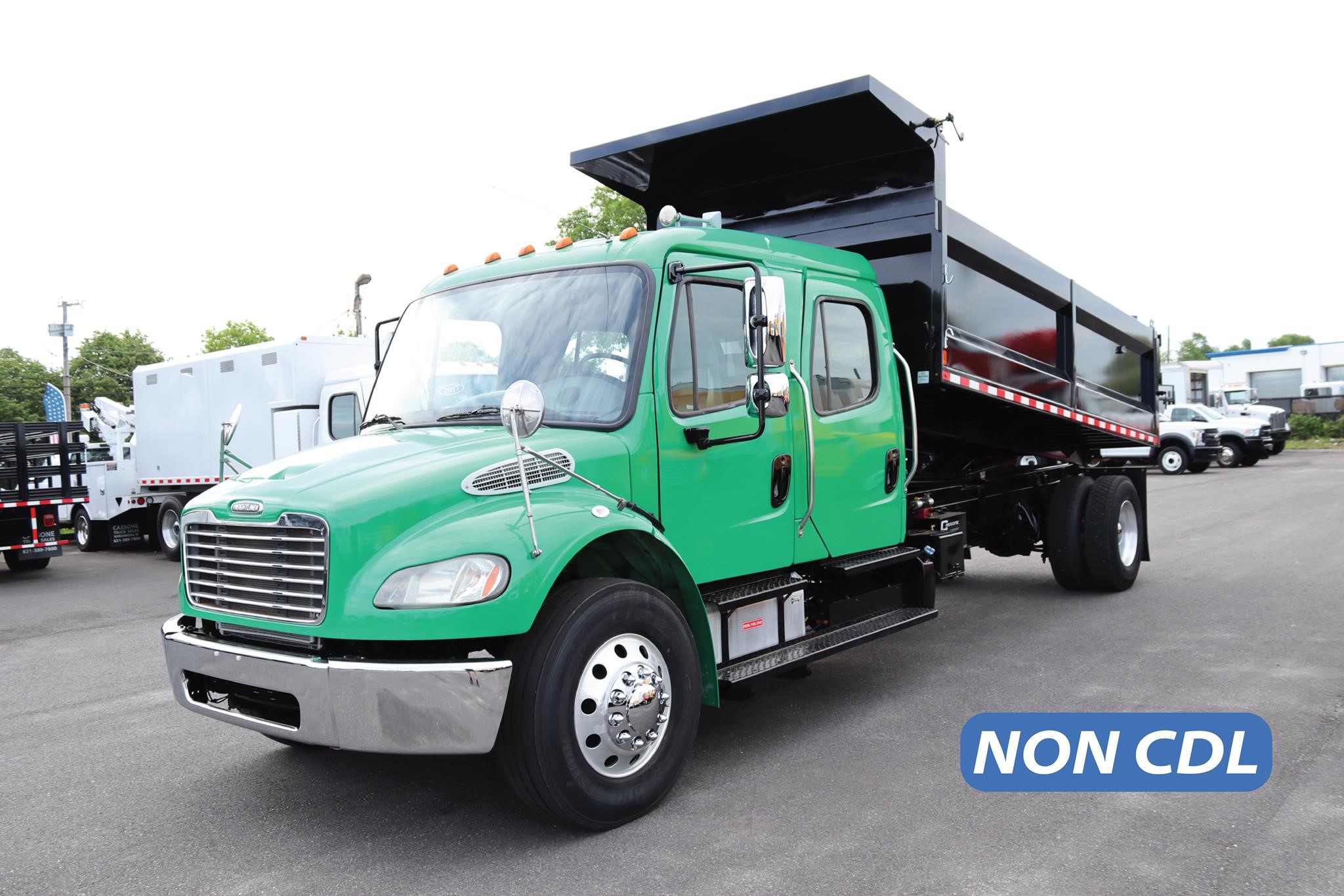 2017 FREIGHTLINER BUSINESS CLASS M2 106 11025534311 2017 FREIGHTLINER BUSINESS CLASS M2 106 11025534311