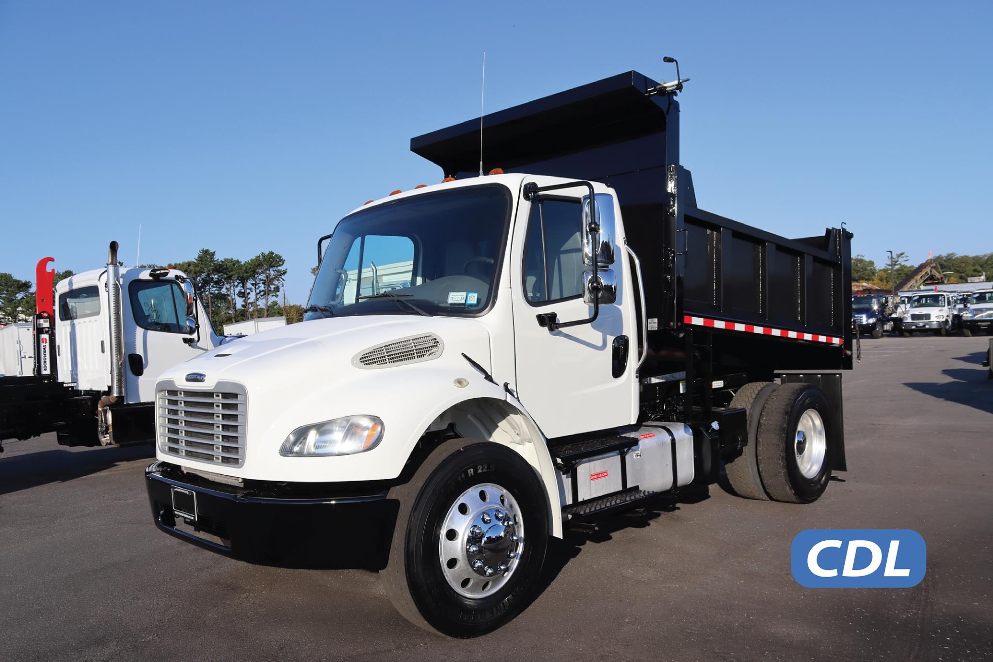 2018 FREIGHTLINER BUSINESS CLASS M2 106 11050019303 2018 FREIGHTLINER BUSINESS CLASS M2 106 11050019303